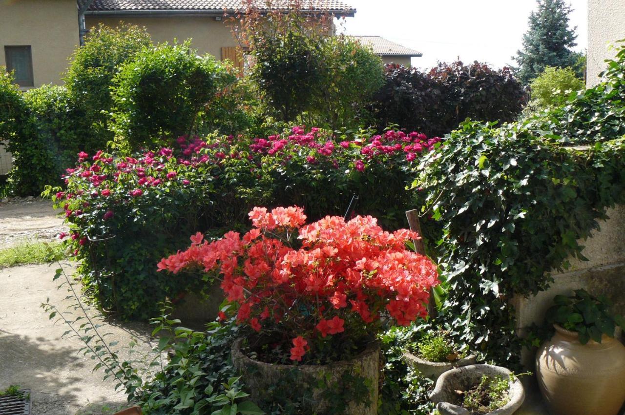 Au The A La Menthe Bed and Breakfast Romans-sur-Isère Buitenkant foto